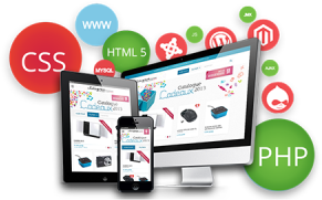 Website Design & Development icon